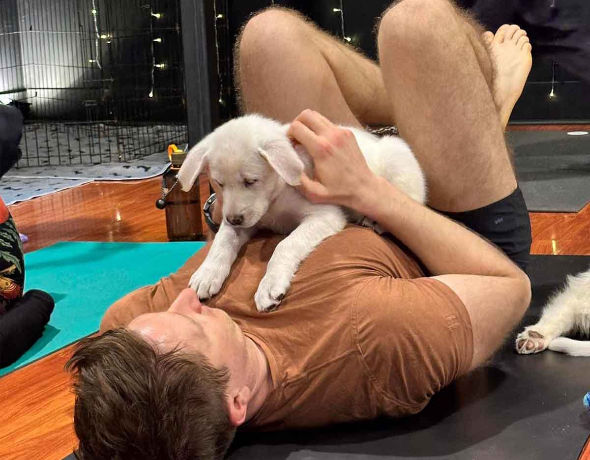 Inner Diva Puppy Yoga Austin Texas