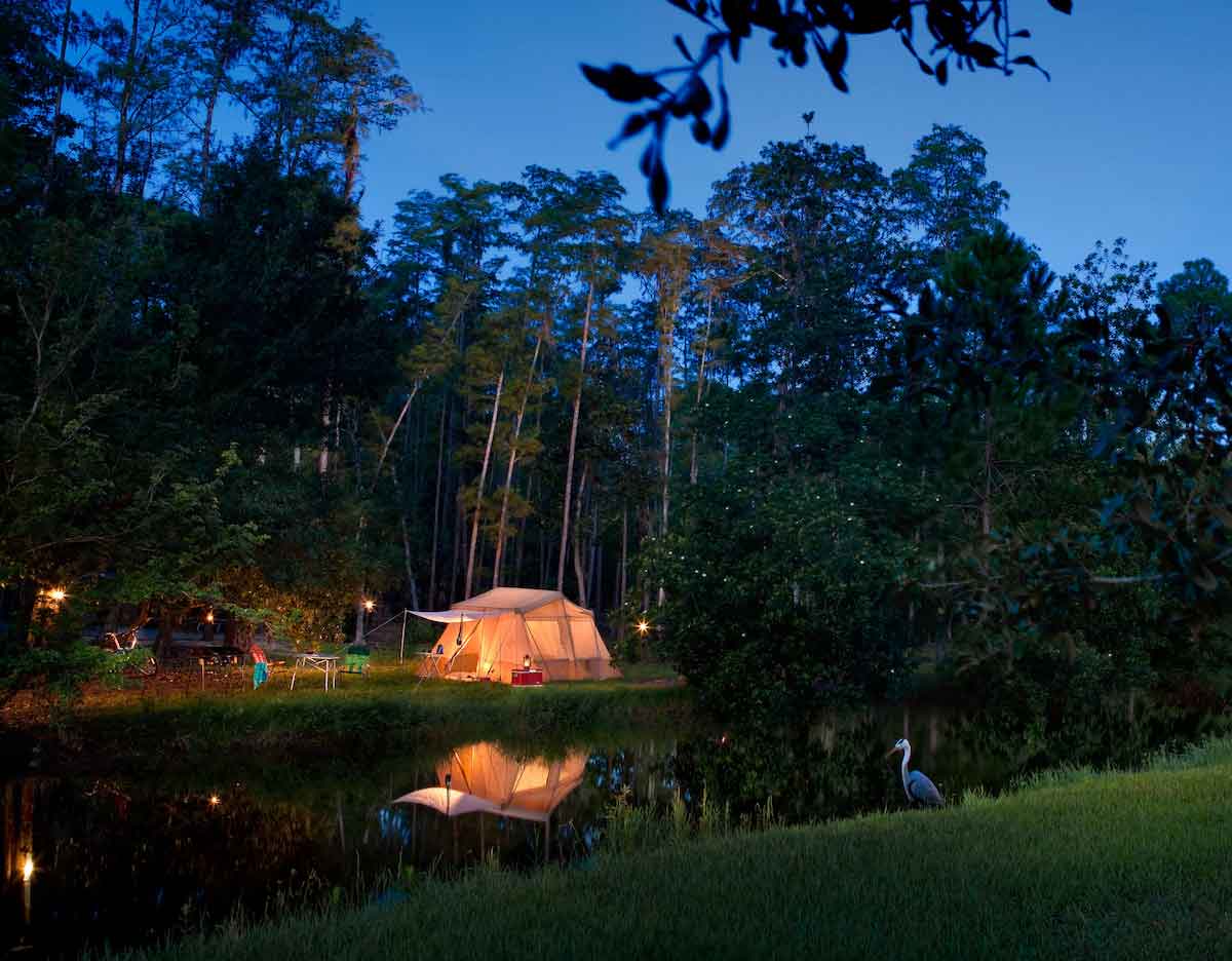 The Campsites at Disney's Fort Wilderness Resort Dog-Friendly Orlando