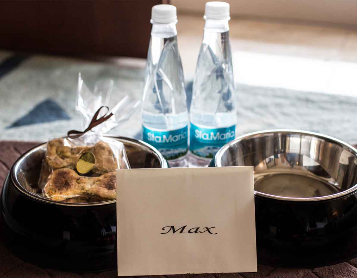 Four Seasons Resort Rancho Encantado Santa Fe Dog-Friendly Resort