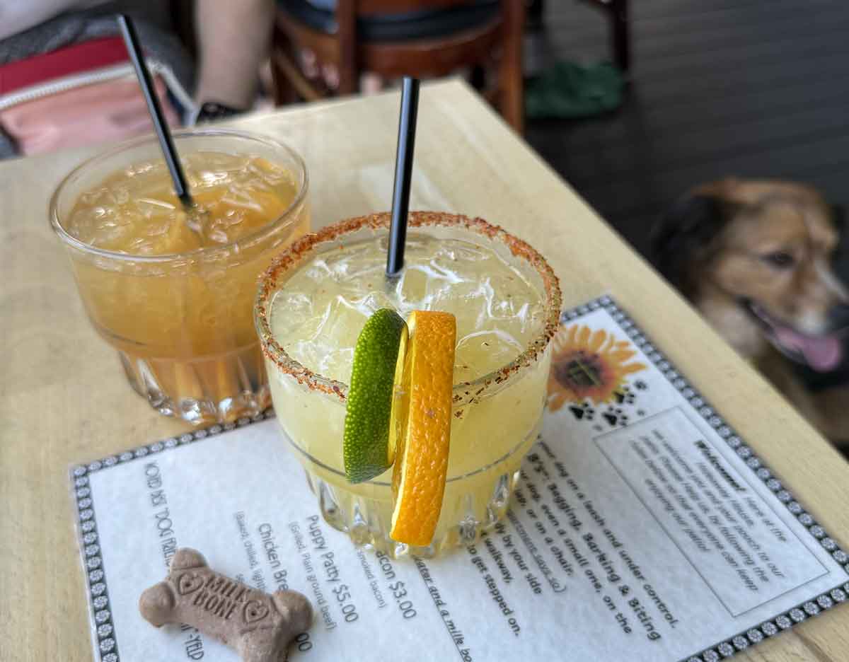 Hideaway House Sedona Arizona Dog-Friendly Restaurant and Patio