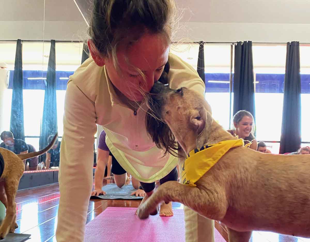 Inner Diva Studios Puppy Yoga Austin Texas