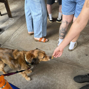 Intersteller BBQ Austin Texas Dog Friendly Restaurant