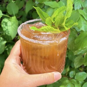 Paper_Dosa_Carosel_3