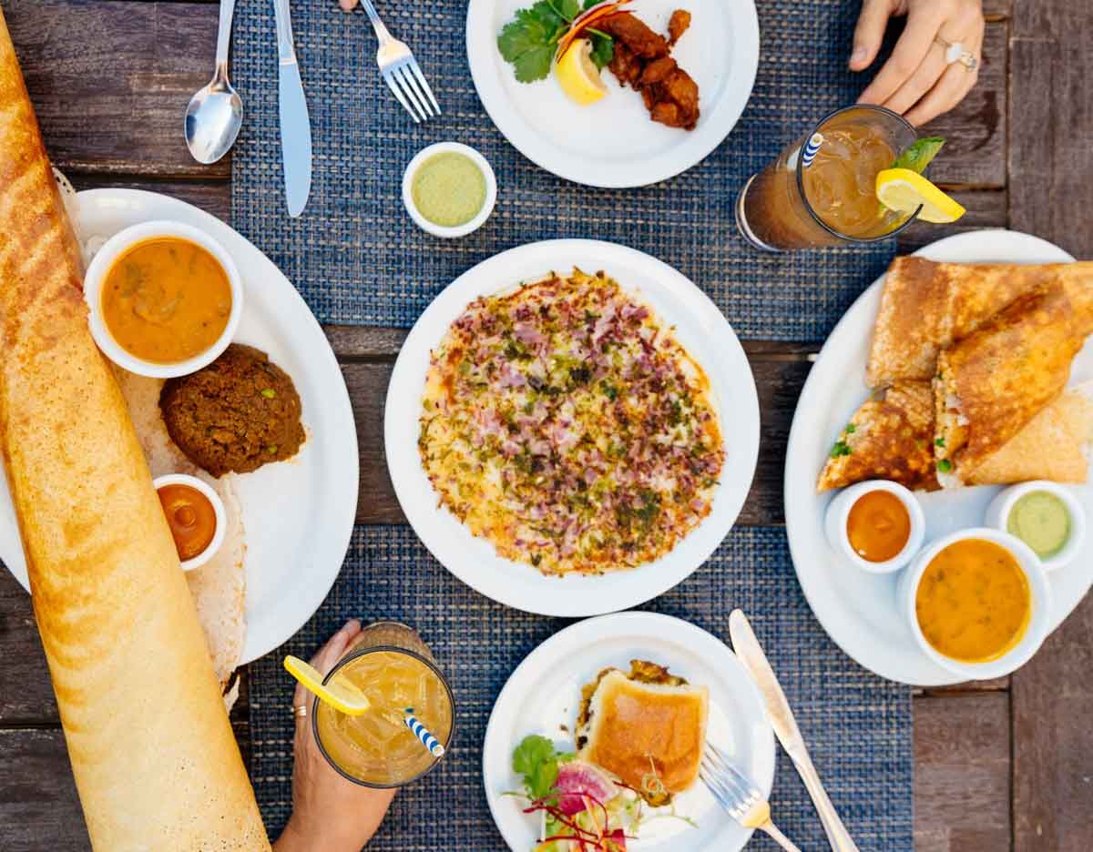 Paper Dosa Santa Fe Dog-Friendly Restaurant & Patio