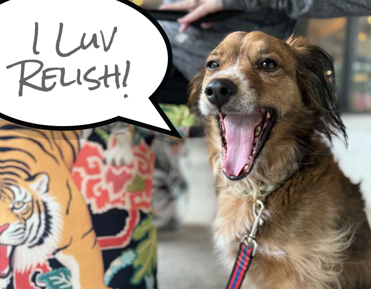 Relish Cafe Thai Cuisine Hilton Head Dog-Friendly Restaurant and Patio