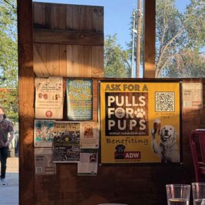 Rowley_Santa_fe_Carosel_6