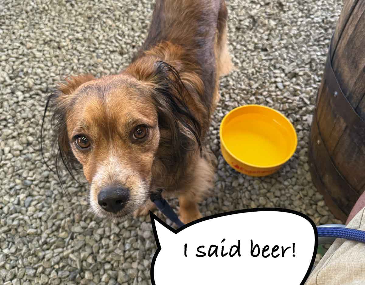 Rowley Farmhouse Ales Santa Fe Dog-Friendly Restaurant & Patio