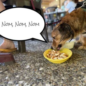 San_Miguels_Carosel_4