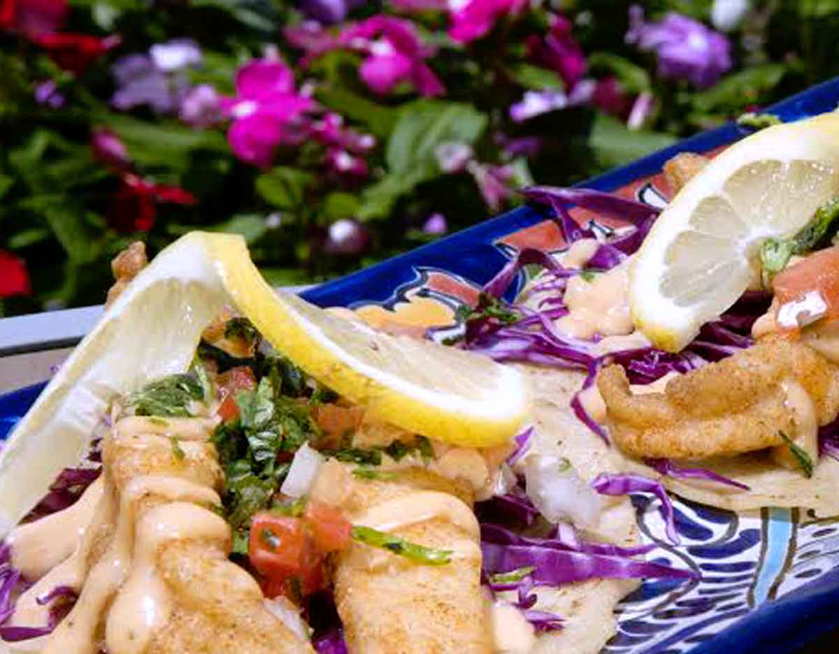 San Miguel's Hilton Head South Carolina Dog-Friendly Restaurant and Patio