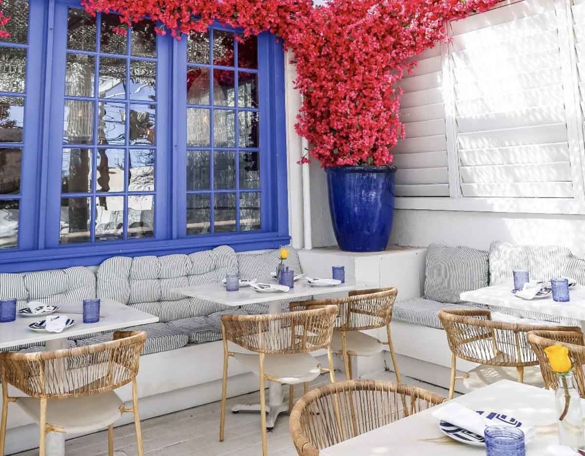 Yamas Greek Kitchen and Bar Austin Texas Dog-Friendly Restaurant & Patio