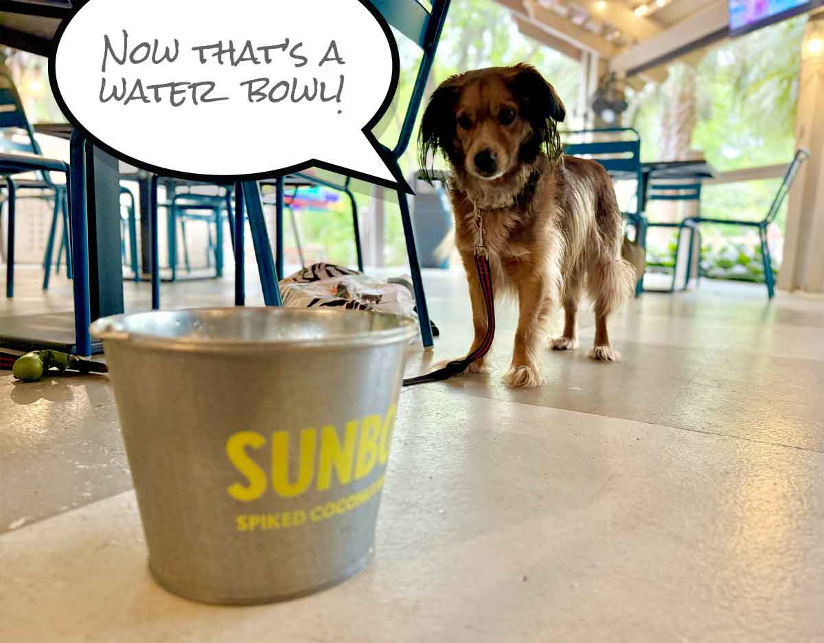 Zunzibar Hilton Head South Carolina Dog-Friendly Restaurant