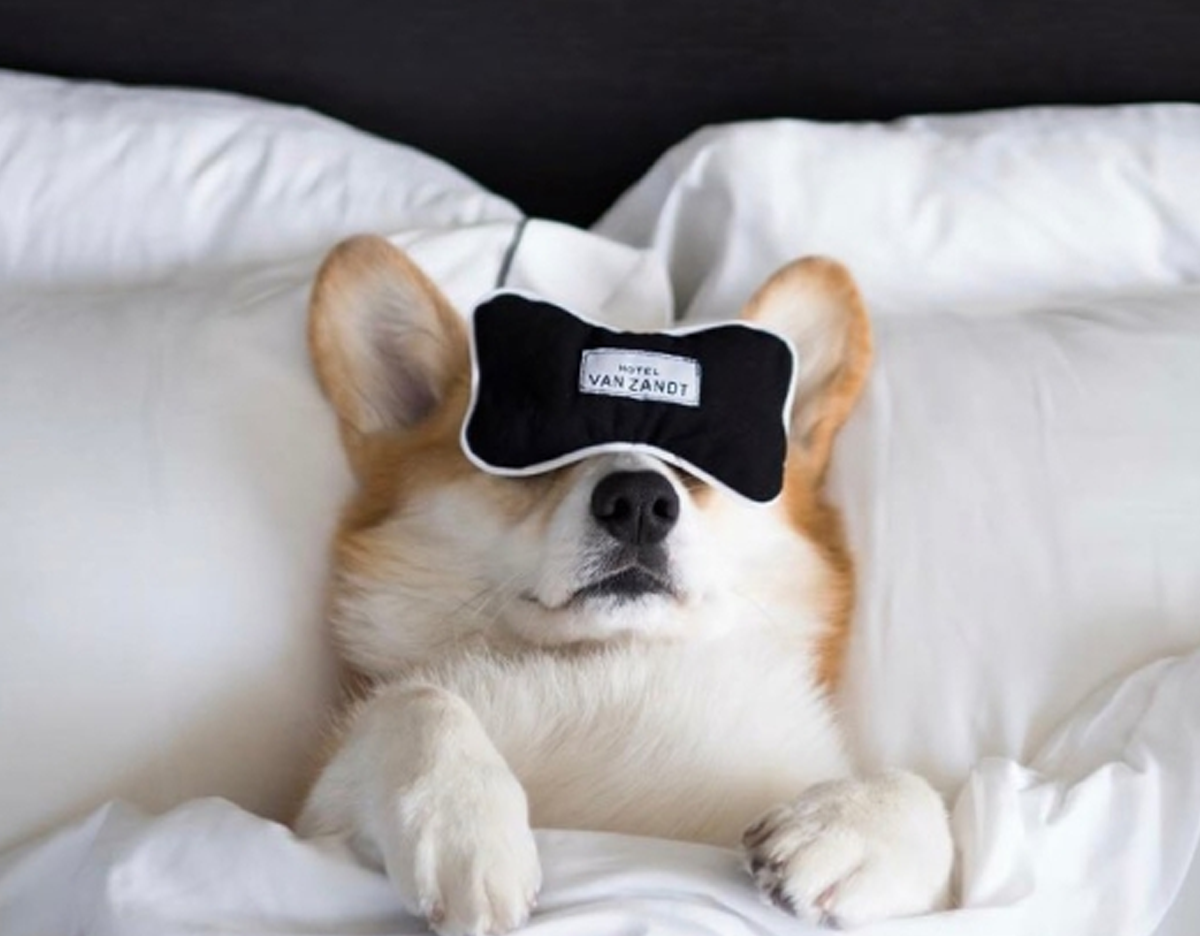 Hotel Van Zandt dog friendly Austin Texas Hotel
